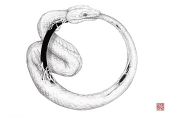 Ouroboros