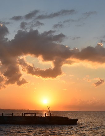 Cuban Sun Catcher