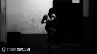UFC Fighter Cat Zingano's Muay Thai Fight