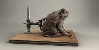 Traditional toad sculpt in CG