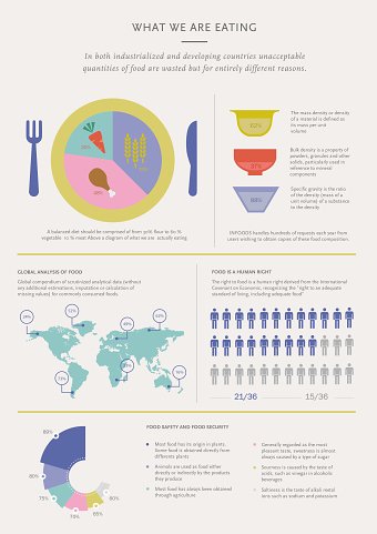 Food infographic