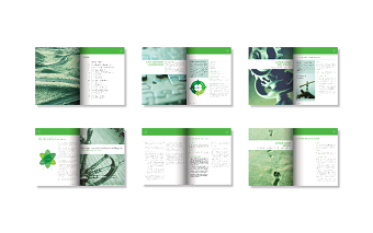 Corporate Catalogue
