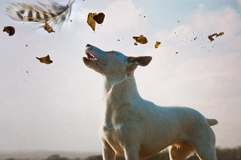 3D and 2D photography and collage