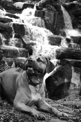 Photography for own Client
