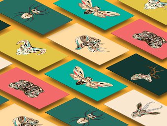 vector animals