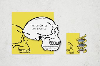 The Origin of Our Species