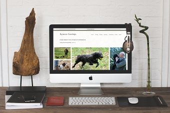 Byrecoc Gundogs