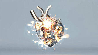 Velocity Heart