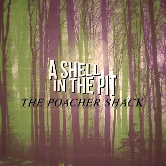 Branding for A Shell In The Pit