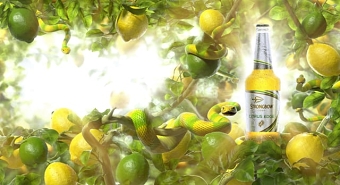 Strongbow - Citrus Edge