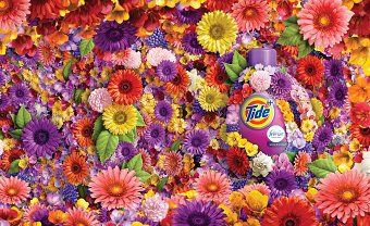 Tide Plus
