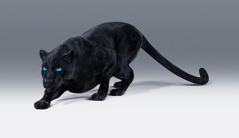 Hologic Panther