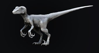 Velociraptor
