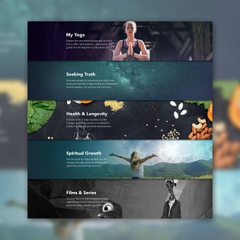 Gaia promo panels