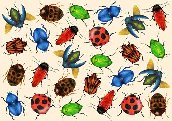 Bugs