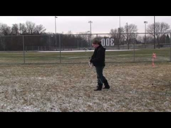 Instructional Video