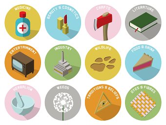 Icon Design