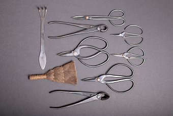 Bonsai Tools
