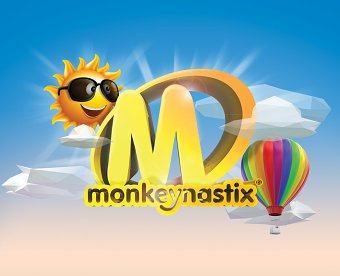 Monkeynastix Brand Element Design - 2016