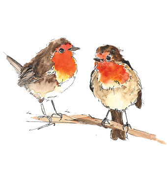 Illustrations