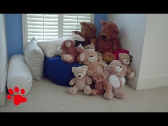 Felix: Hide & Seek