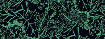 Dinosaurs print