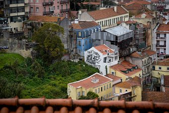 Lisbon Urban Nature
