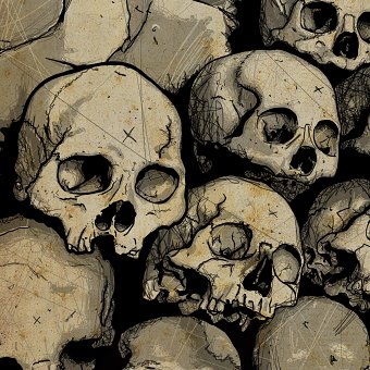 Skulls