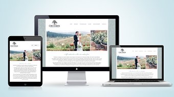 WEB DESIGN • BRANDING • Orchards