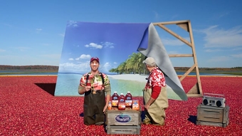 Ocean Spray: Breeze