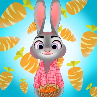 Judy