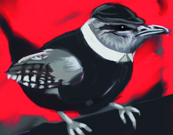Beaky Blinder - Maglus Stylus Drawing Contest Winner