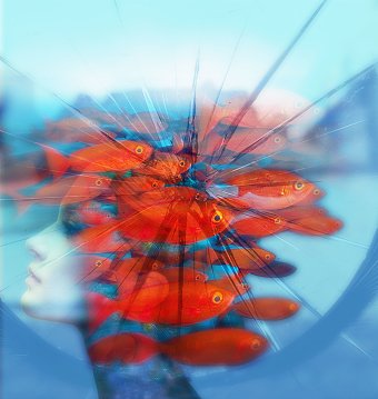 Inside my head red fishes wants to fly