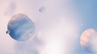 Visual experiment
