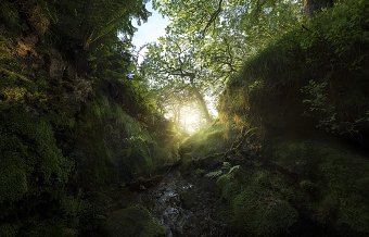 Landscapes: Odin's Gully