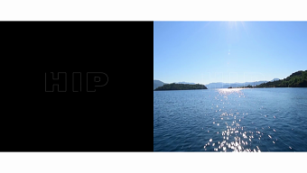 HIP Hotels Logo animations