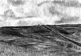 Landscapes
