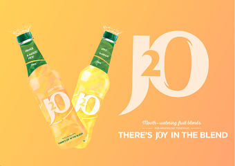 J20