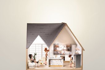 Miniature Luxury Kitchen