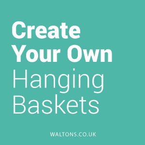 How to Create Your Own Hanging Basket