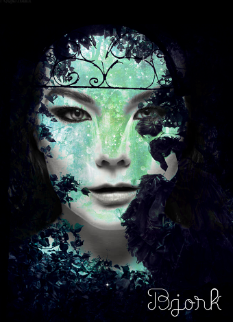Bjork CD Covers