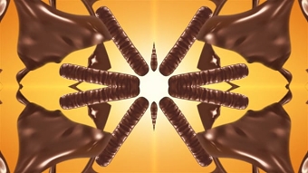 Krakuski Paluszki Kaleidoscope/Kalejdoskop