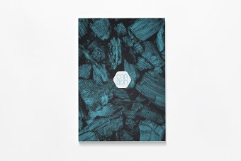CARBON Festival: 2013 Event Book