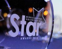 The Star Awards