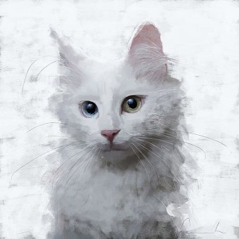 animal portraits II