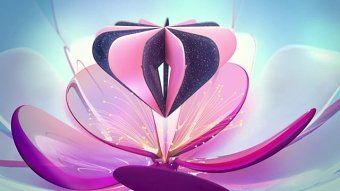ZEE TV "Flowers"