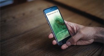Identity & Website Design