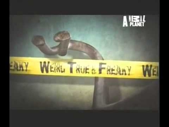 "Weird, True, and Freaky"