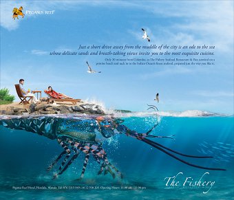 Fishery pegasus