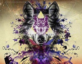 Wolf in the Space